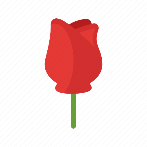 Beauty, flower, nature, red, rose, roses, single icon - Download on Iconfinder