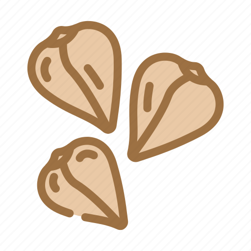 Buckwheat, grain, healthy, cereal, plant, food icon - Download on Iconfinder