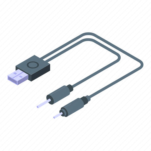 Double, cable, charger, isometric icon - Download on Iconfinder