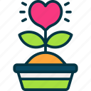 plant, love, pot, donation, heart