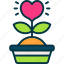plant, love, pot, donation, heart 