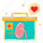 organ donation, transplant, donor, medial, health, charity, donation, international day of charity 