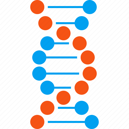 Dna structure, genetic biology, genetic engineering, genetics, genome chain, molecule, spiral molecule icon - Download on Iconfinder