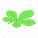 chestnut, leaf, isometric