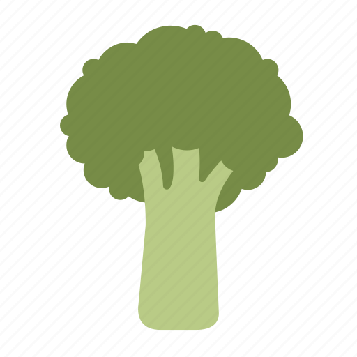 Broccoli, brokkoli, chinese kale, vegetable, vegetables, veggie icon - Download on Iconfinder
