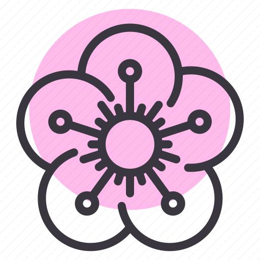 Blossom, flower, plum, sakura, cherry, chinese new year, cny icon - Download on Iconfinder