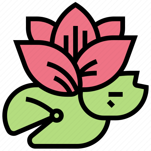 Aquatic, flower, lotus, plant, pond icon - Download on Iconfinder