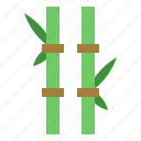bamboo, nature, plant, wellness, botanical 