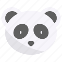 panda, animal, wildlife, zoo, china, animal head, mammal