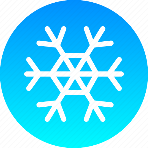 Christmas, cold, new year, snow, snowflake, winter icon - Download on Iconfinder
