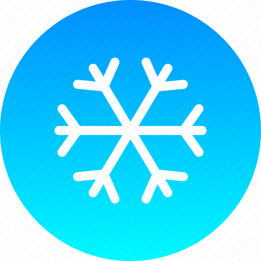 Christmas, cold, new year, snow, snowfall, snowflake, winter icon - Download on Iconfinder
