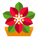 christmas, floral, flower, poinsettia, red