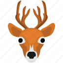 mammal, reindeer, deer, christmas, animal 