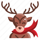 reindeer, deer, christmas, holiday, winter
