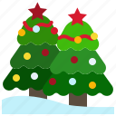 christmas, pine, xmas, winter, tree, nature, plant