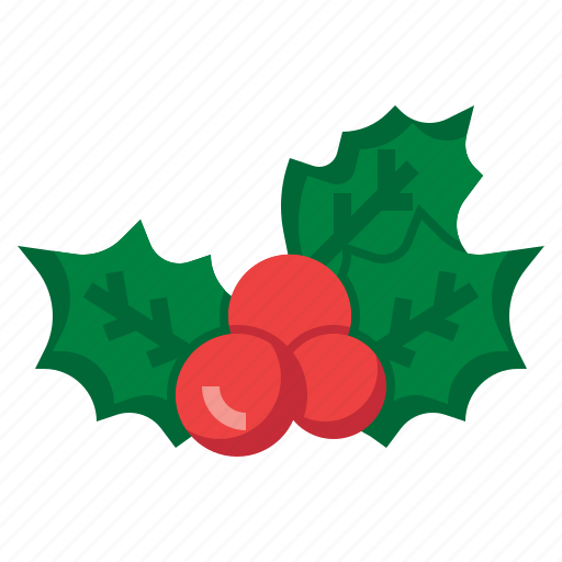 Mistletoe, christmas, decoration, holly, nature icon - Download on Iconfinder