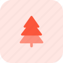 pine, holiday, christmas, celebration