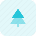 pine, tree, holiday, christmas, plant