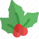 christmas, mistletoe, leaves, decoration, celebration