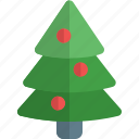christmas, pine, tree, holiday, nature