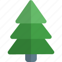 pine, holiday, christmas, winter