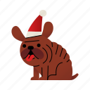 dog, christmas, animals, elf