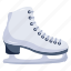 glissade, ice skate, skating shoe, skate boot, footwear 