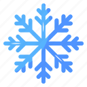 crystal flake, snowflake, winter, blizzard, flake