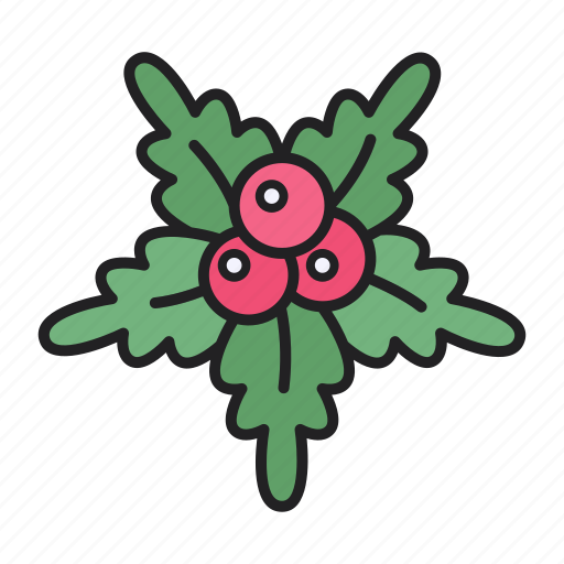 Mistletoe, christmas, decoration, nature icon - Download on Iconfinder