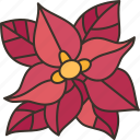 poinsettia, flower, christmas, red, blossom
