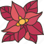 poinsettia, flower, christmas, red, blossom 