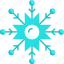 snowflake, snow, christmas, weather, winter, cold 