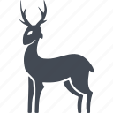 christmas, horns, animal, deer