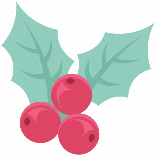 Christmas mistletoe, christmas ornaments, mistletoe, plant, xmas icon - Download on Iconfinder