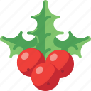 berry, christmas, decoration, holly, xmas