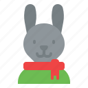 rabbit, bunny, pet, easter, christmas, scarf, avatar, animal