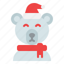 bear, winter, scarf, mammal, animals, grizzly, christmas