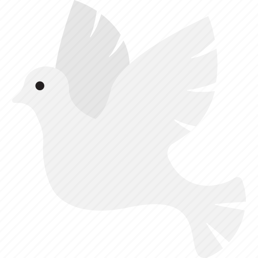 Bird, dove, flying, christmas icon - Download on Iconfinder