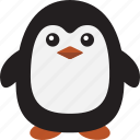 penguin, bird