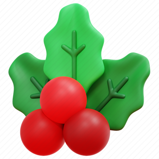 Mistletoe, holly, christmas, xmas, ornament, nature, decoration 3D illustration - Download on Iconfinder