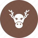 decoration, home decoration, hornes, moose, portrait, xmas, christmas decoration