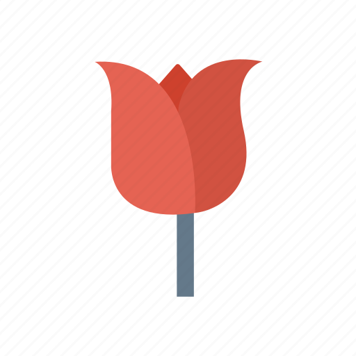 Camomile, flower, garden, nature icon - Download on Iconfinder