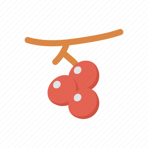 Berry, cherry, food, fruit icon - Download on Iconfinder