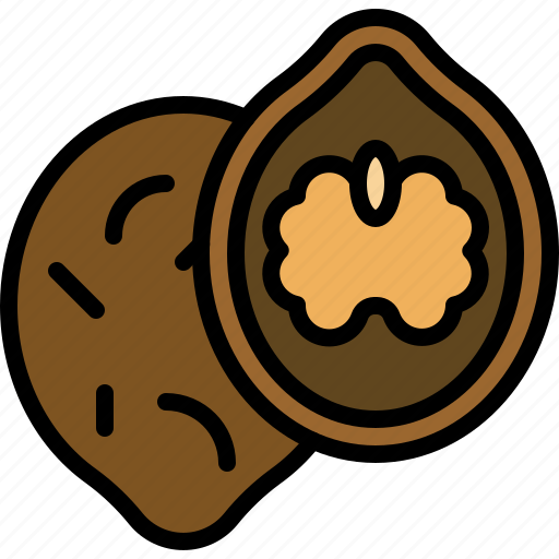 Christmas, food, walnuts, fruit, nut, healthy icon - Download on Iconfinder