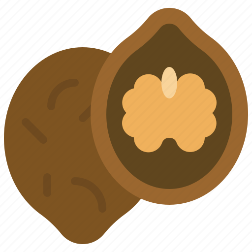 Christmas, food, walnut, nuts, healthy food, healthy icon - Download on Iconfinder