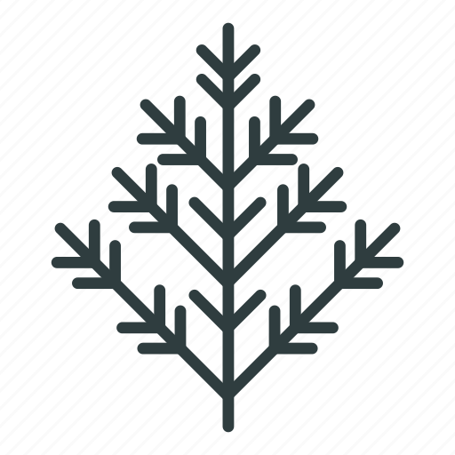 Christmas, christmas tree, new year, tree icon - Download on Iconfinder