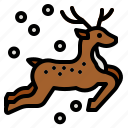 deer, reindeer, christmas, animal, winter