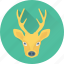 animal, deer, elk, reindeer, rudolf 
