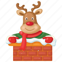 reindeer, animal, christmas, chimney, winter, funny, cute