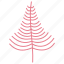 christmas tree, xmas tree, coniferous tree, evergreen tree, cedar tree 